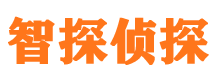 盐池商务调查